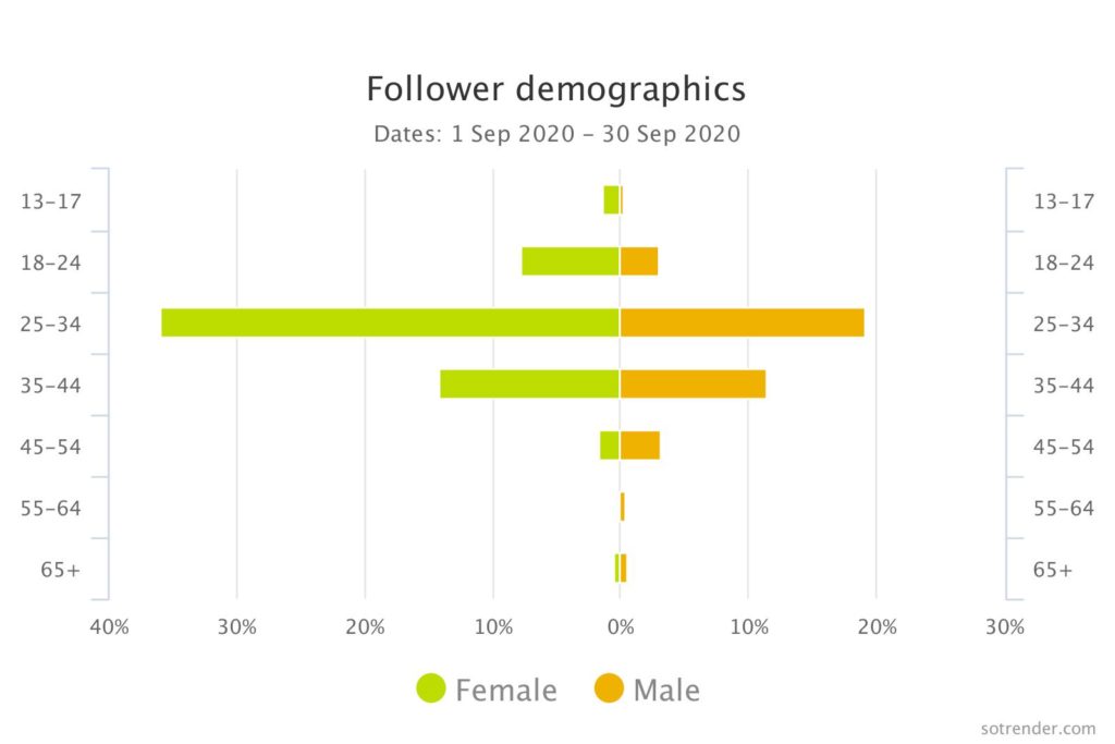 Instagram follower demographics