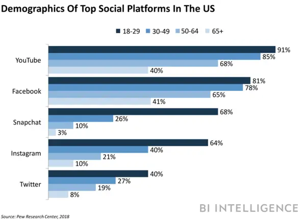demographics of top social media platforms in the US