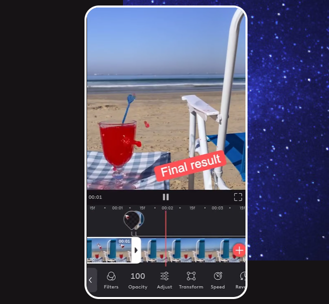 Videoleap app