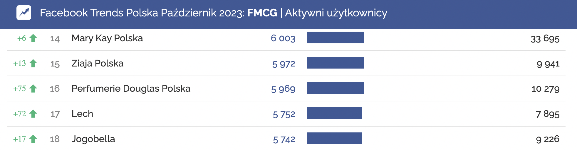 fmcg aktywni uzytkownicy 10.2023 facebook