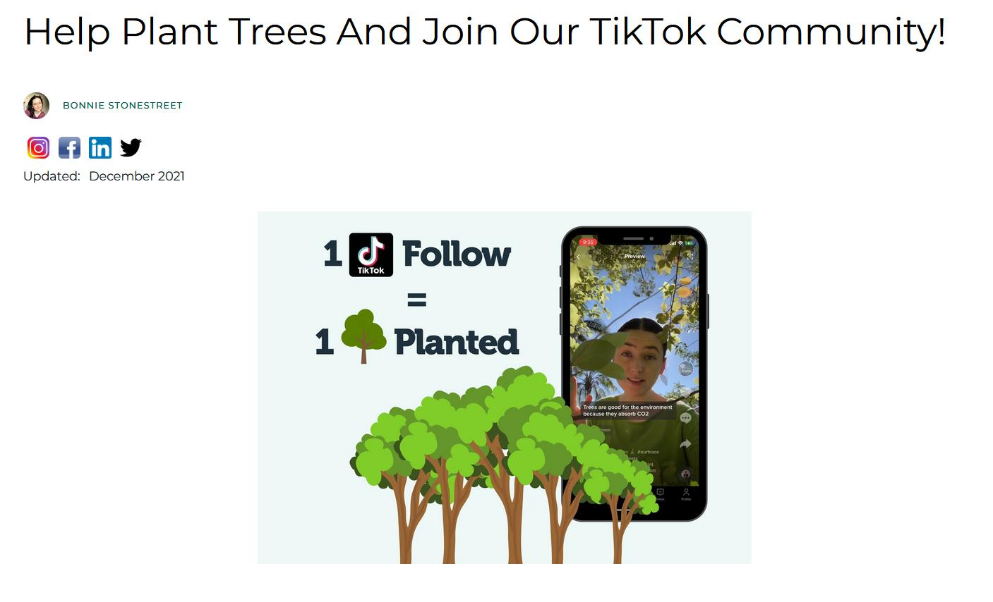 website TikTok promo