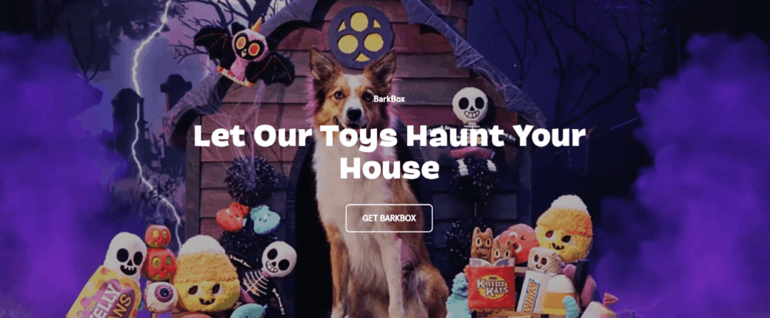BarkBox Halloween banner