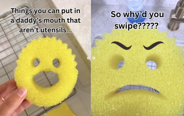 Scrub Daddy Instagram