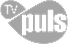 TV Puls